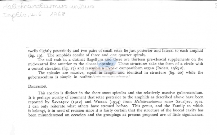 Halichoanolaimus unicus