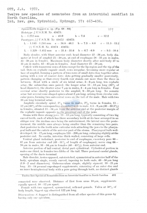 Synonchiella hopperi