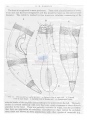 Nematode file-library of the Marine Biology Section (Ghent University, Belgium)