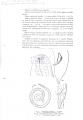 Nematode file-library of the Marine Biology Section (Ghent University, Belgium)