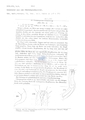 Nematode file-library of the Marine Biology Section (Ghent University, Belgium)