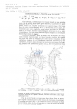 Nematode file-library of the Marine Biology Section (Ghent University, Belgium)