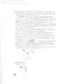 Nematode file-library of the Marine Biology Section (Ghent University, Belgium)