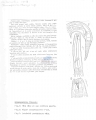 Nematode file-library of the Marine Biology Section (Ghent University, Belgium)