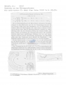 Nematode file-library of the Marine Biology Section (Ghent University, Belgium)