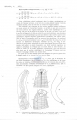 Nematode file-library of the Marine Biology Section (Ghent University, Belgium)