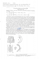 Nematode file-library of the Marine Biology Section (Ghent University, Belgium)