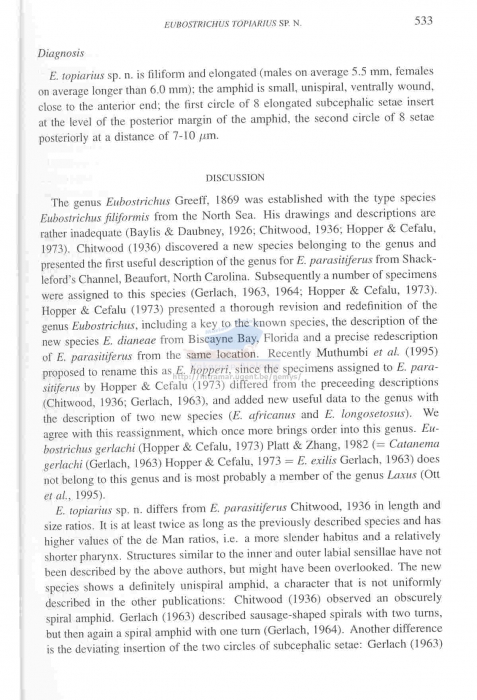 Eubostrichus topiarius