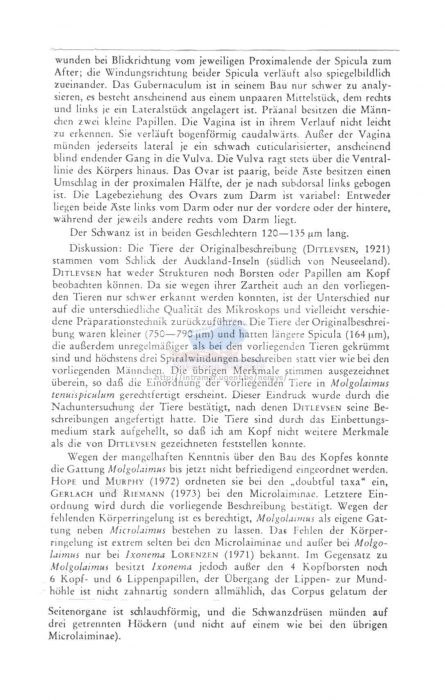 Molgolaimus tenuispiculum