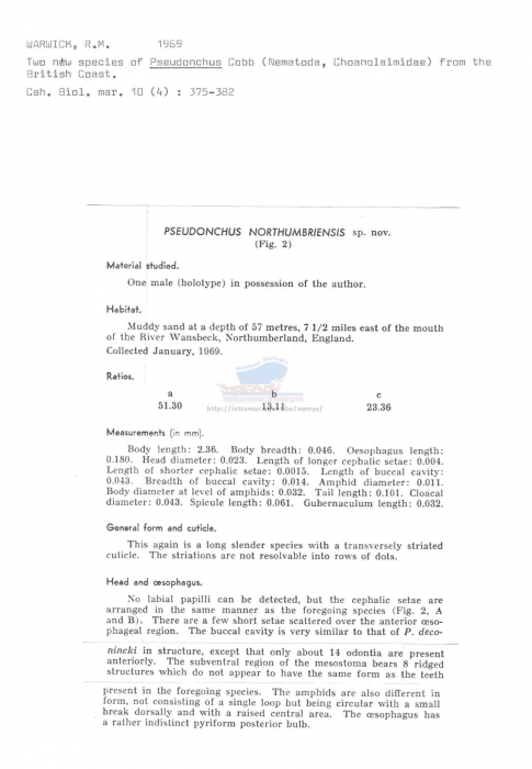 Pseudonchus northumbriensis