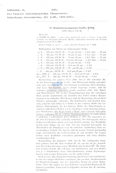 Metepsilonema hagmeieri
