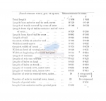 Notochaetosoma tenax