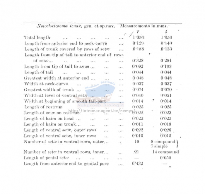 Notochaetosoma tenax