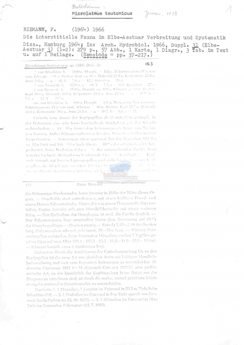 Bolbolaimus teutonicus