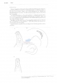 Nematoda (roundworms)