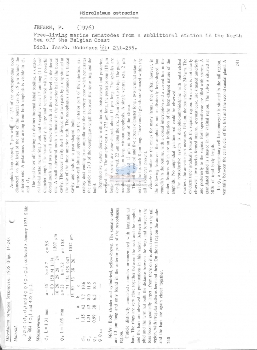 Microlaimus ostracion