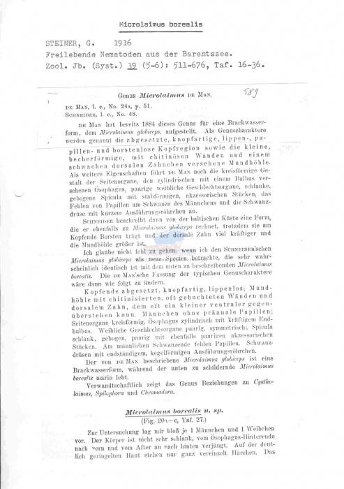 Microlaimus borealis