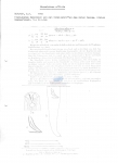 Nematoda (roundworms)
