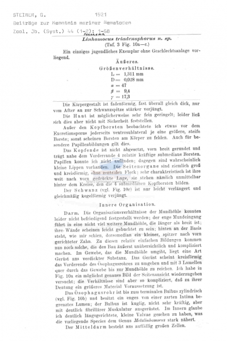 Synonema triadenophorum