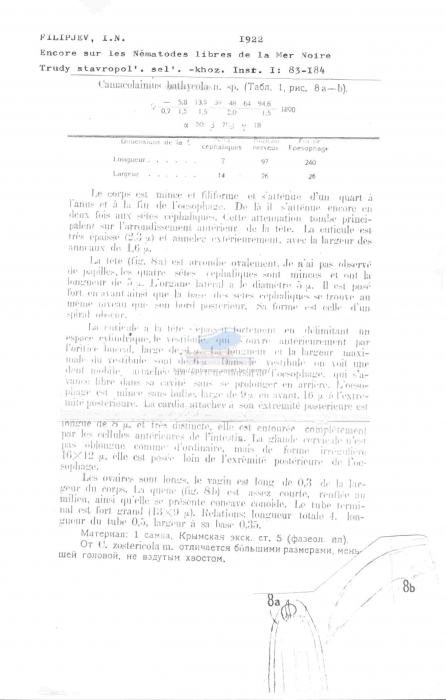 Camacolaimus bathycola