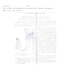 Nematode file-library of the Marine Biology Section (Ghent University, Belgium)