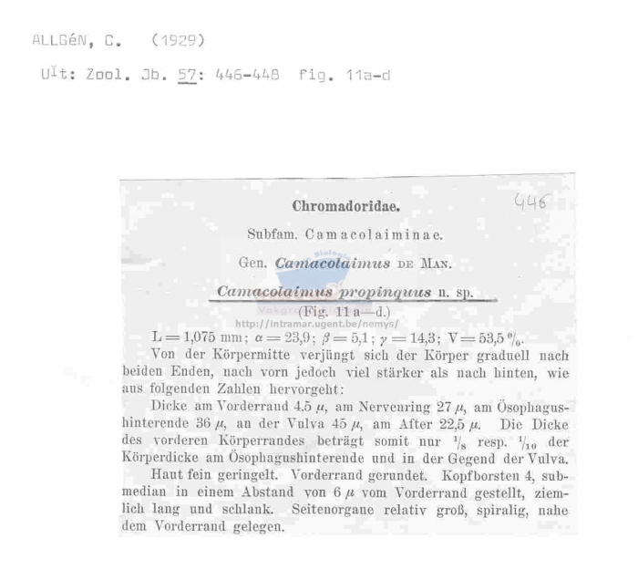 Camacolaimus propinquus