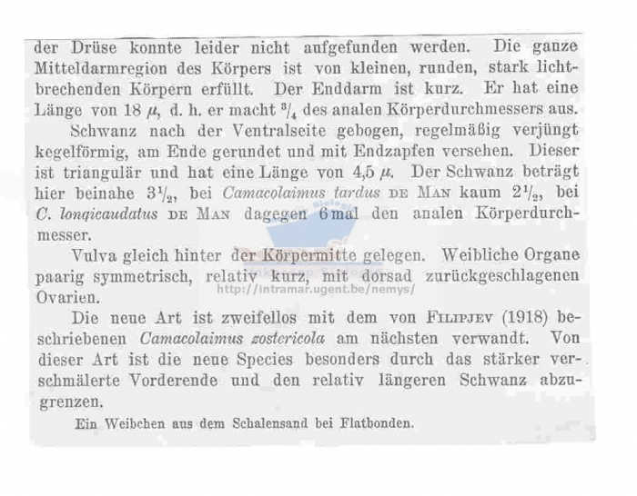 Camacolaimus propinquus