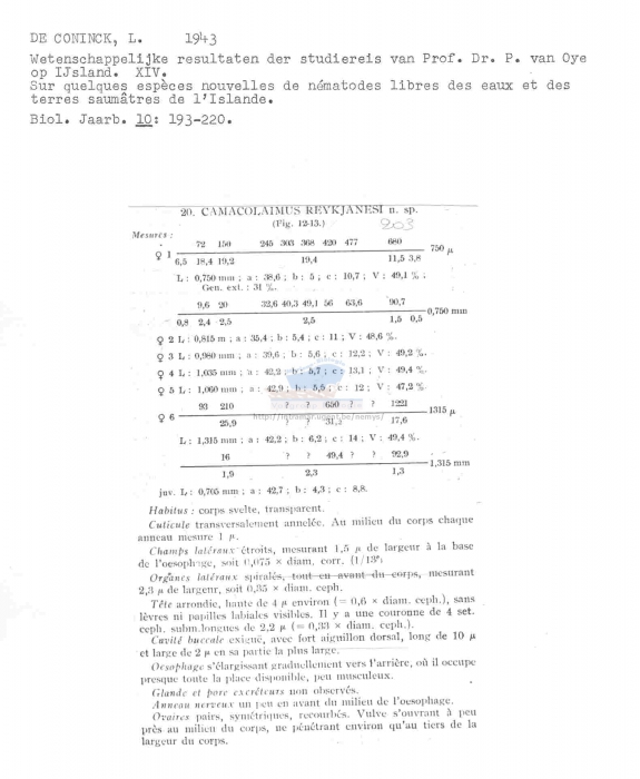 Camacolaimus reykjanesi