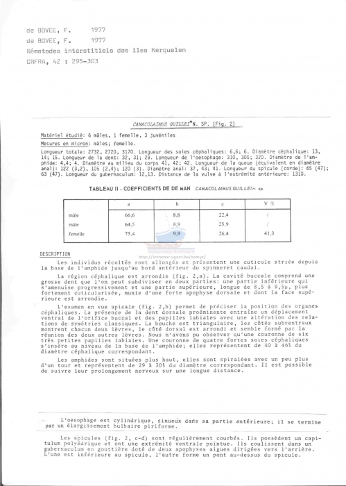 Camacolaimus guillei