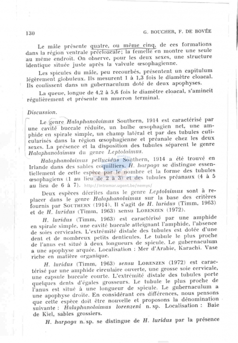 Halaphanolaimus harpaga