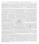 Leptolaimus ampullaceus