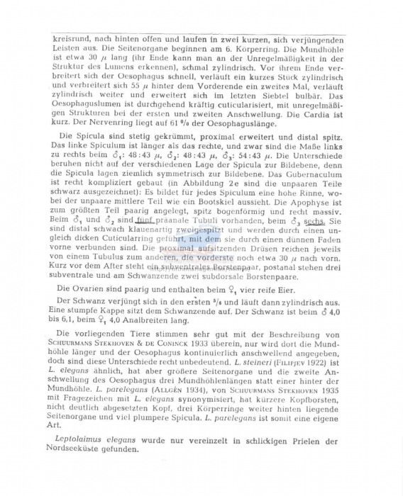 Leptolaimus limicolus