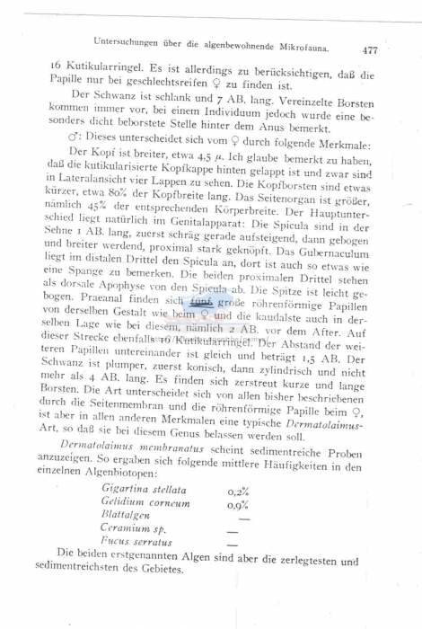 Leptolaimus membranatus