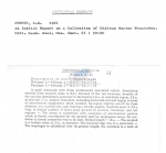 Leptolaimus gerlachi