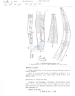 Nematode file-library of the Marine Biology Section (Ghent University, Belgium)