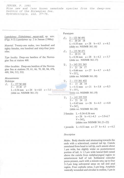 Leptolaimus meyer-reili