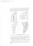 Publication snippets