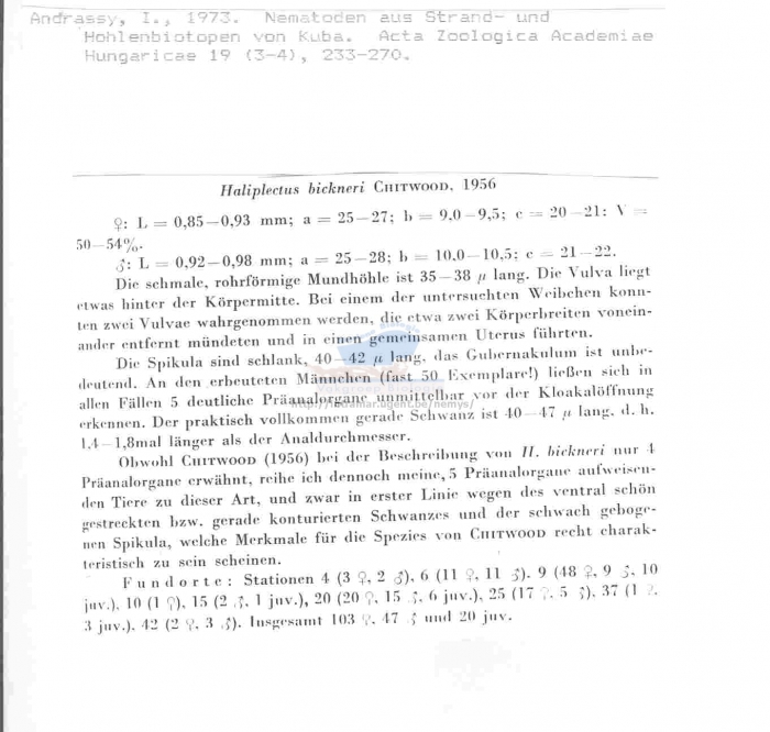 Haliplectus bickneri