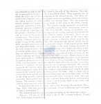 Haliplectus conicephalus