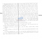 Haliplectus pellucidus