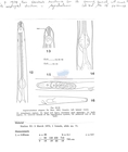 Nematode file-library of the Marine Biology Section (Ghent University, Belgium)