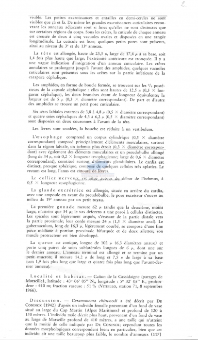 Ceramonema chitwoodi