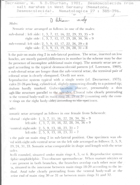 Desmoscolex labiosus