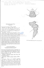 Nematode file-library of the Marine Biology Section (Ghent University, Belgium)