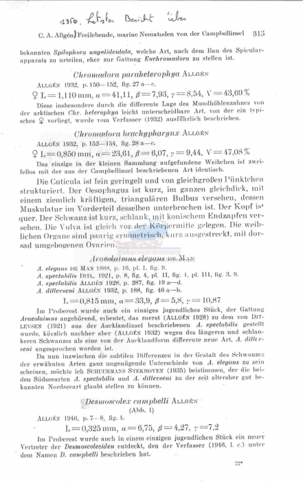 Desmoscolex campbelli