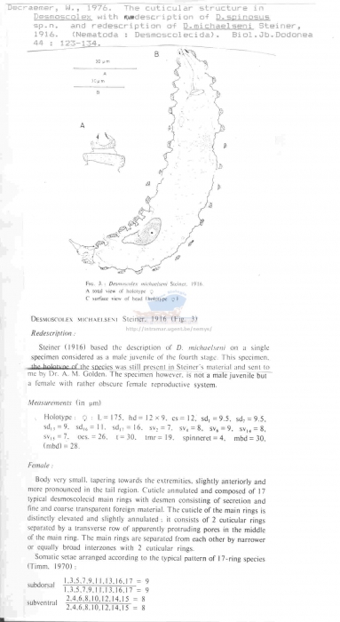 Desmoscolex michaelseni