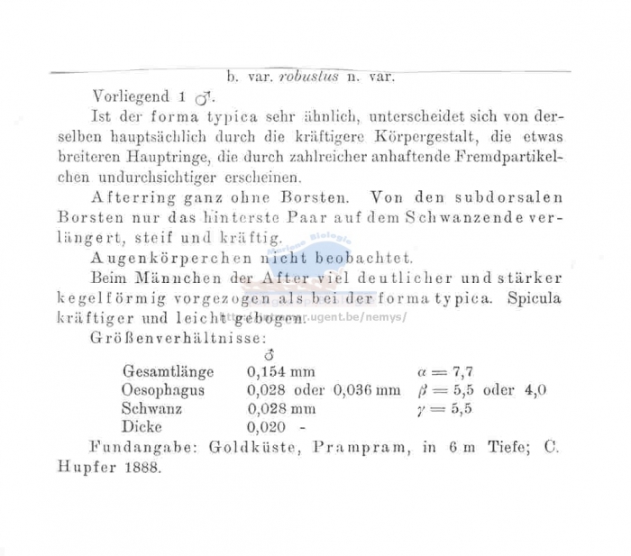 Desmoscolex prampramensis