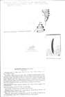 Nematode file-library of the Marine Biology Section (Ghent University, Belgium)