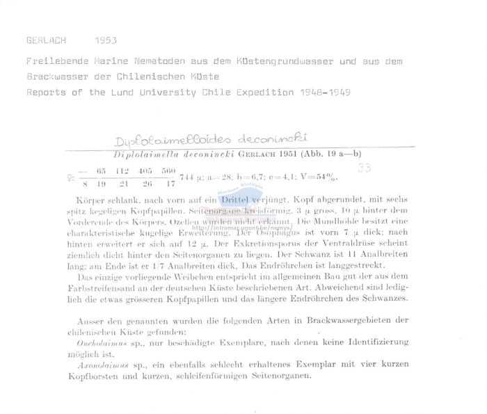 Diplolaimelloides deconincki
