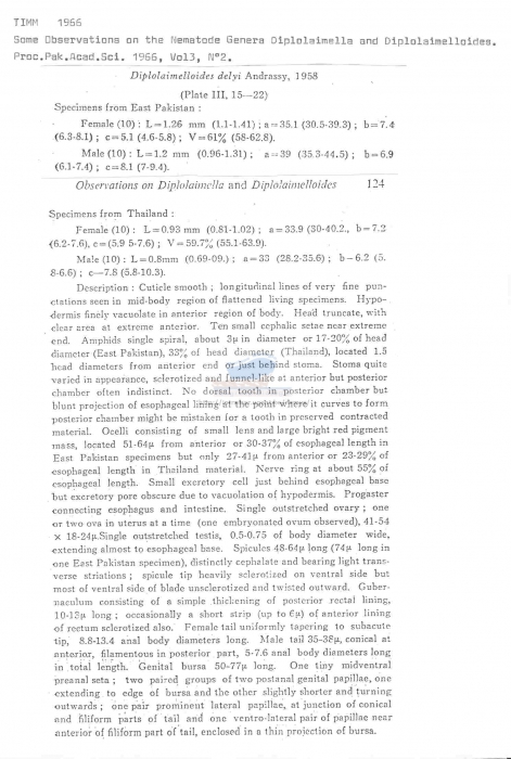 Diplolaimelloides delyi